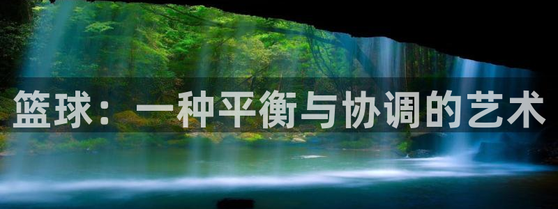 vsport体育官方正版app官网:篮球:一种平衡与协调的艺